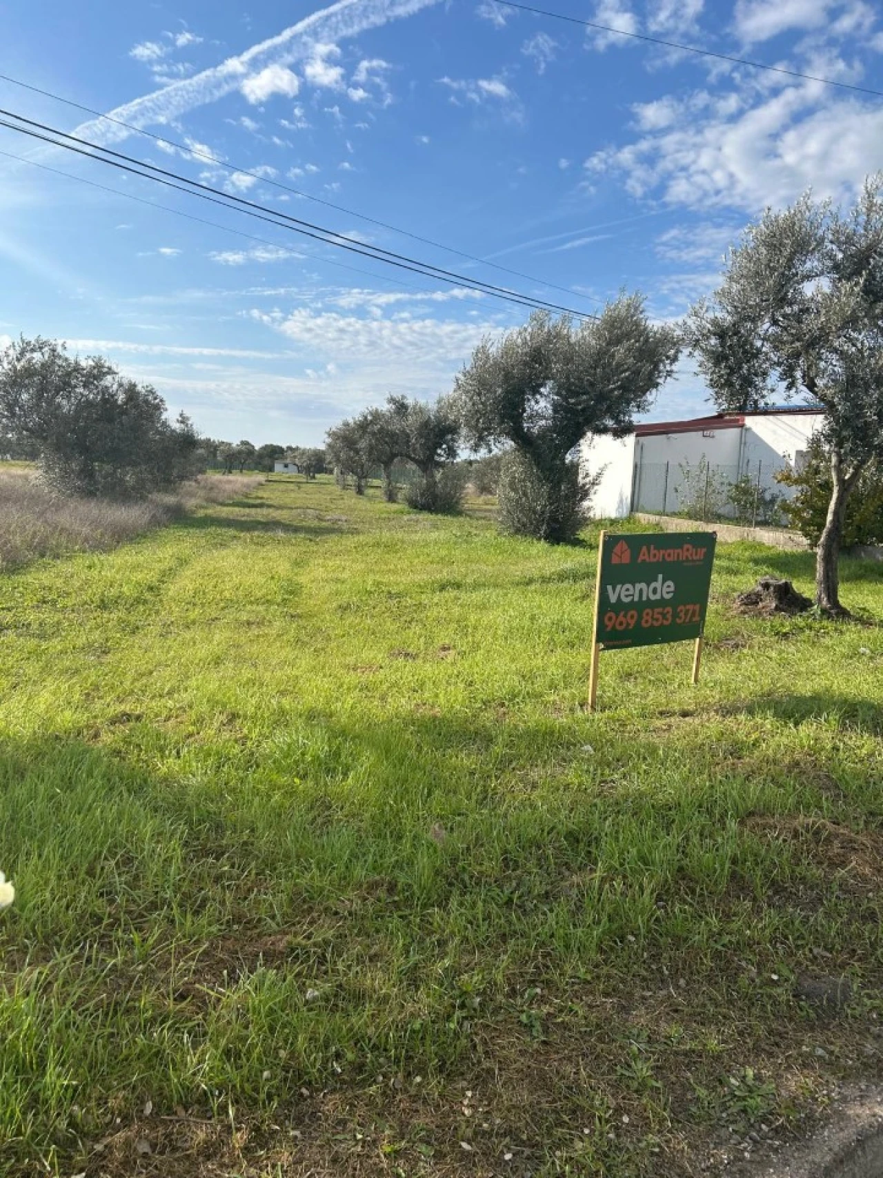 Terreno para Venda em Pego Foto 3