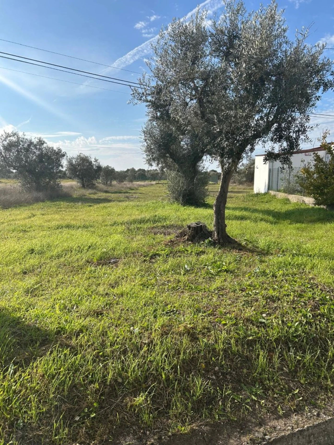 Terreno para Venda em Pego Foto 6