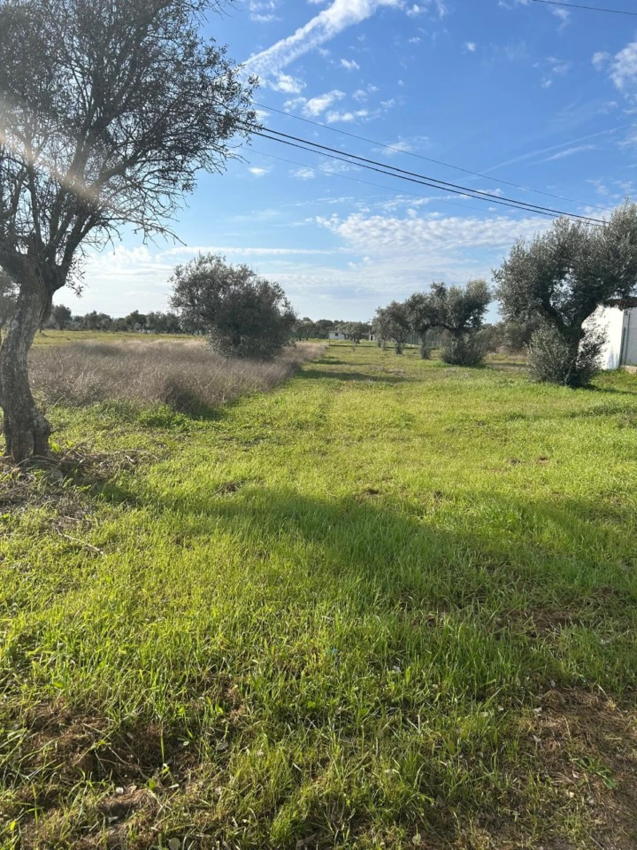 Terreno para Venda em Pego Foto 7