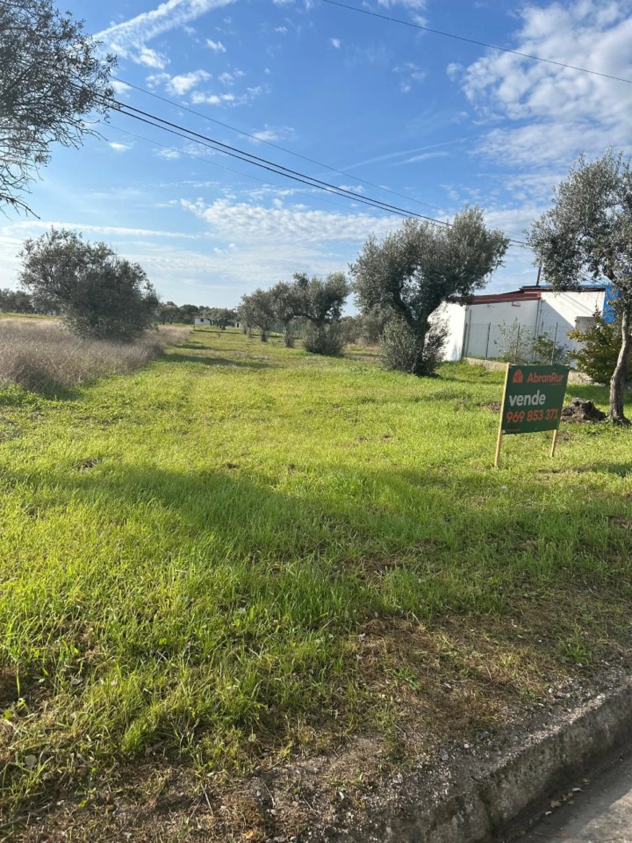 Terreno para Venda em Pego Foto 9