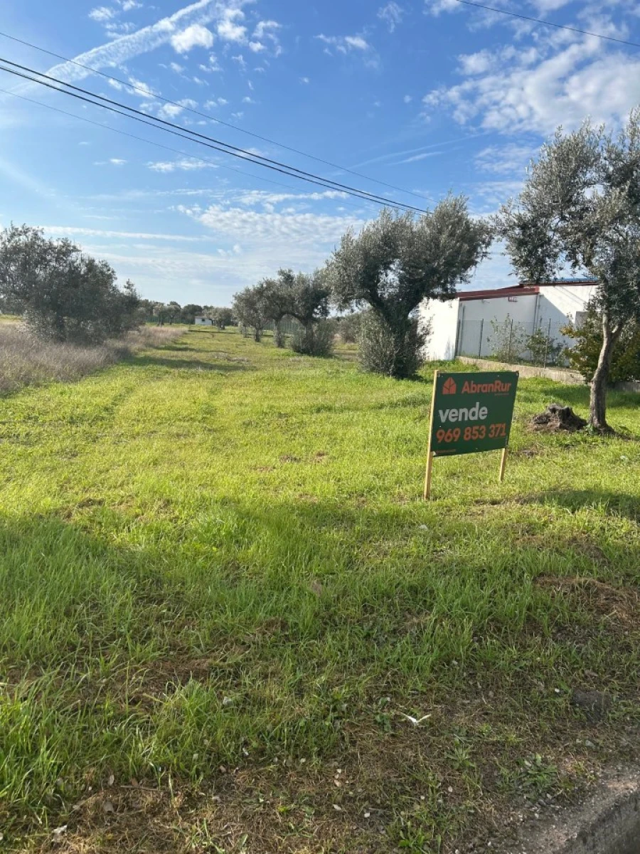 Terreno para Venda em Pego Foto 5