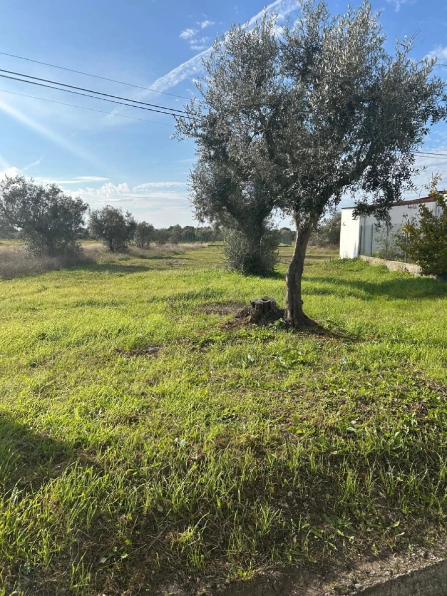 Terreno para Venda em Pego Foto 6
