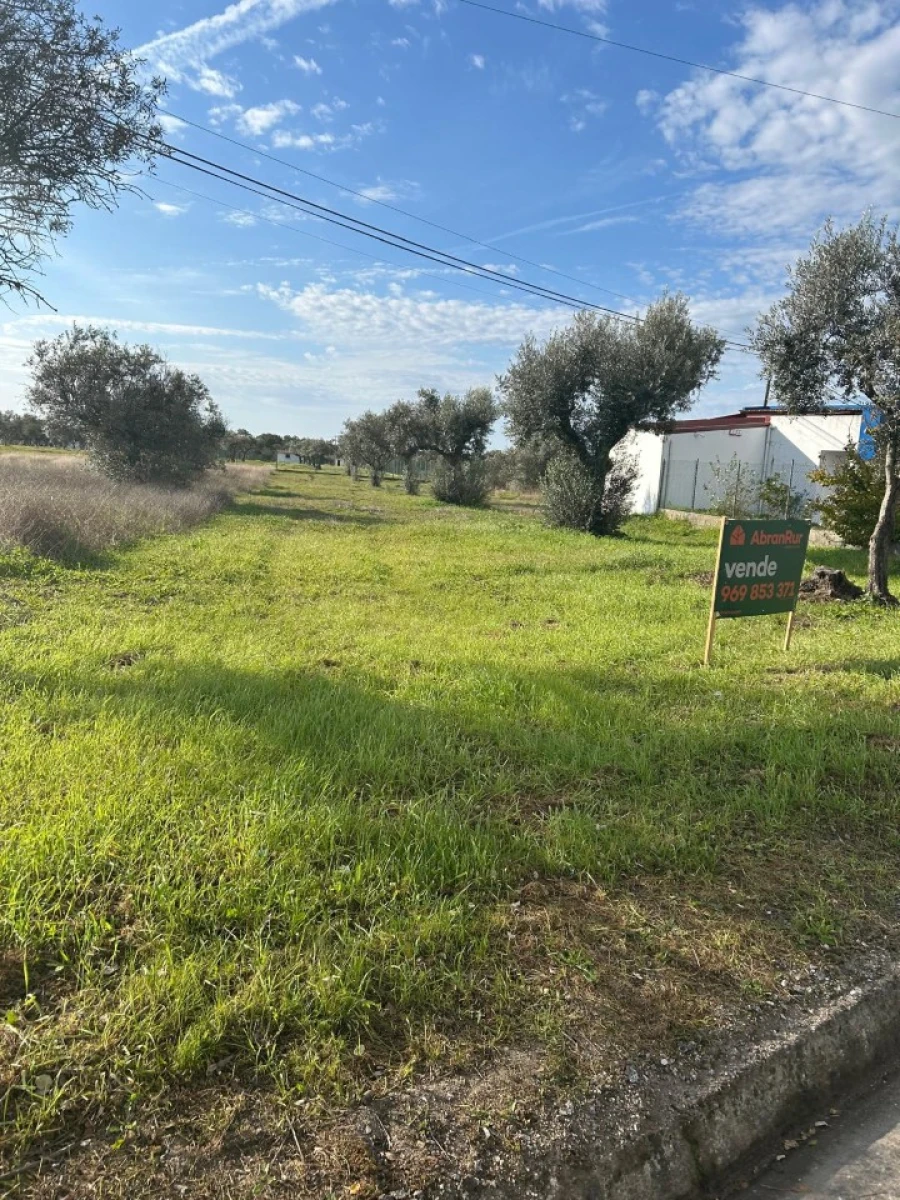Terreno para Venda em Pego Foto 9