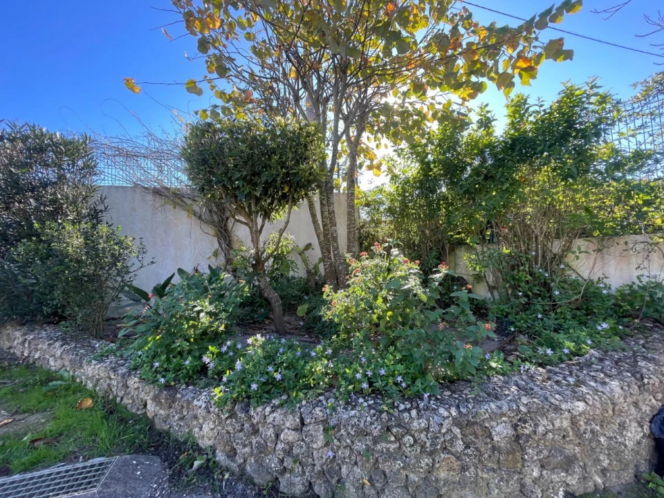 Quinta T4 para Venda em Sesimbra (Castelo) Foto 104