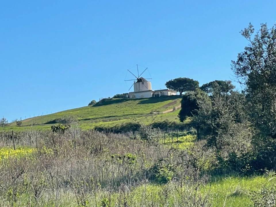 Quinta T4 para Venda em Sesimbra (Castelo) Foto 125