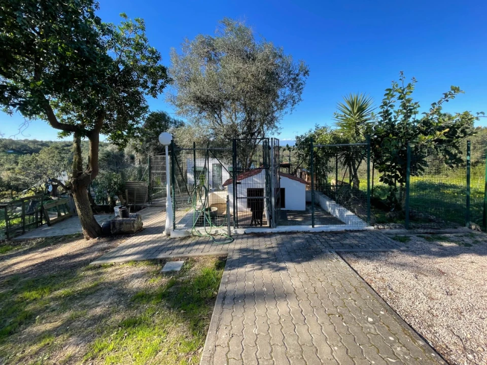 Quinta T4 para Venda em Sesimbra (Castelo) Foto 106