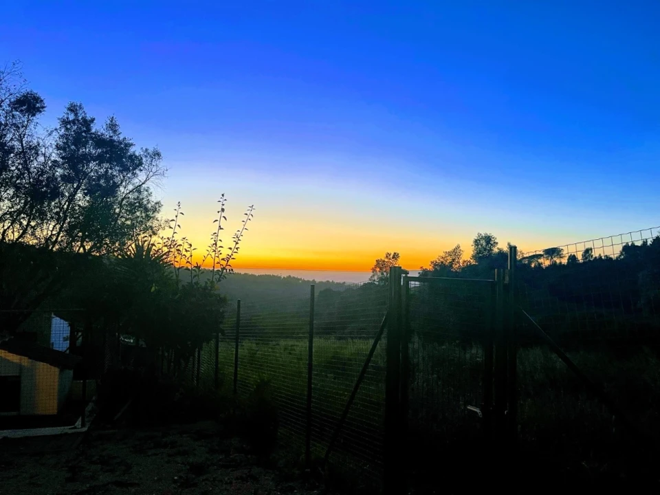 Quinta T4 para Venda em Sesimbra (Castelo) Foto 123