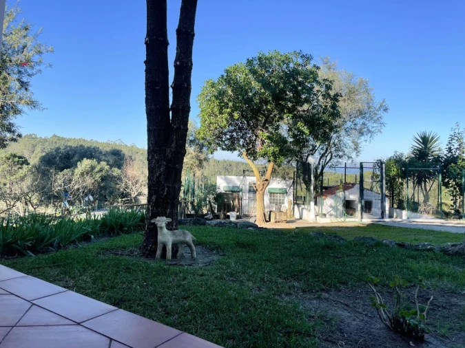 Quinta T4 para Venda em Sesimbra (Castelo) Foto 106