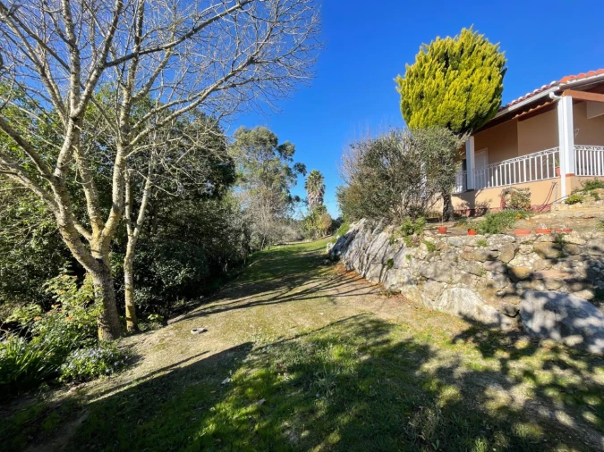 Quinta T4 para Venda em Sesimbra (Castelo) Foto 95