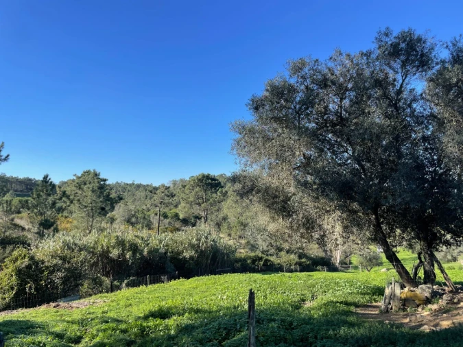 Quinta T4 para Venda em Sesimbra (Castelo) Foto 110