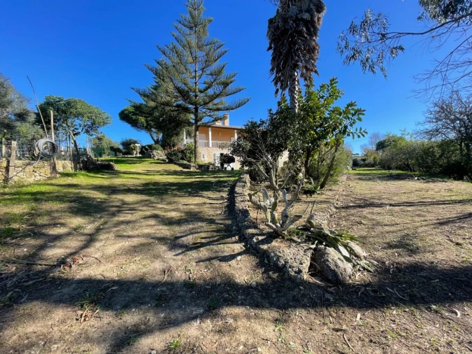 Quinta T4 para Venda em Sesimbra (Castelo) Foto 4