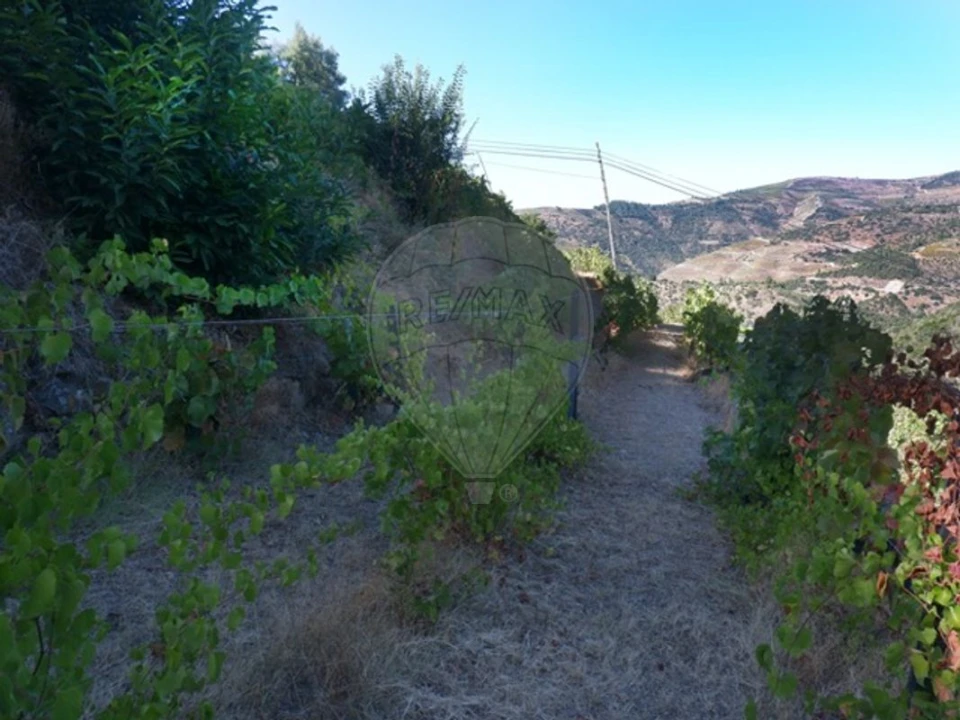 Terreno para Venda em Tabuaço Foto 9