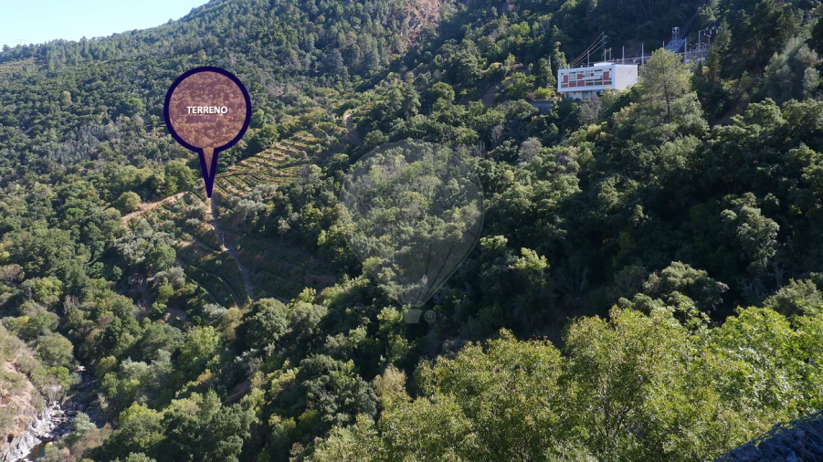 Terreno para Venda em Tabuaço