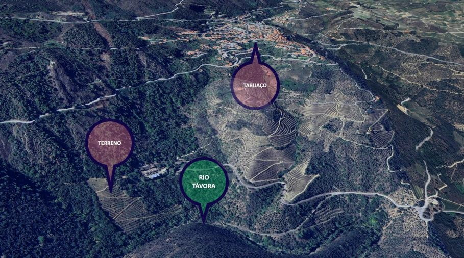 Terreno para Venda em Tabuaço Foto 3