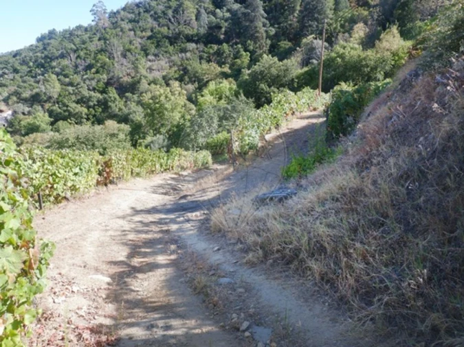 Terreno para Venda em Tabuaço Foto 12
