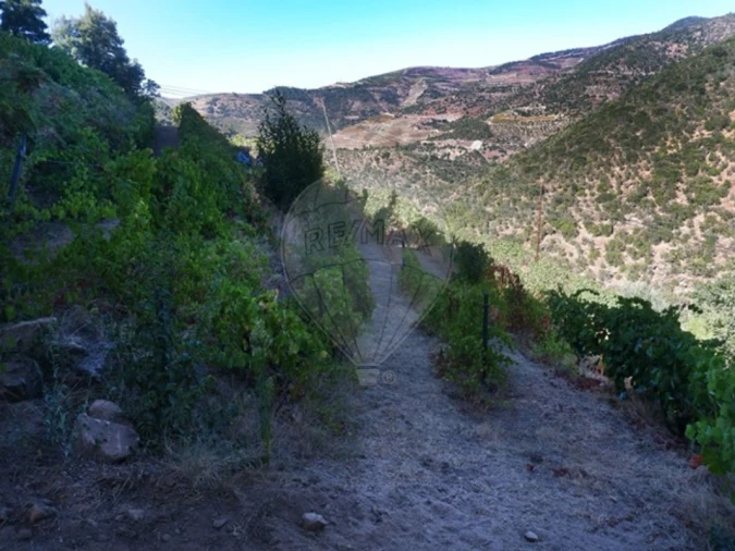 Terreno para Venda em Tabuaço Foto 10