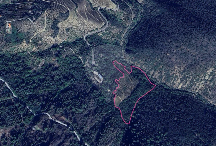 Terreno para Venda em Tabuaço Foto 2