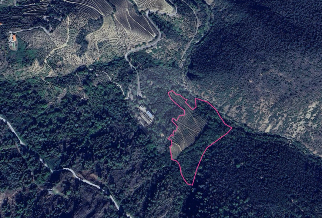 Terreno para Venda em Tabuaço Foto 2