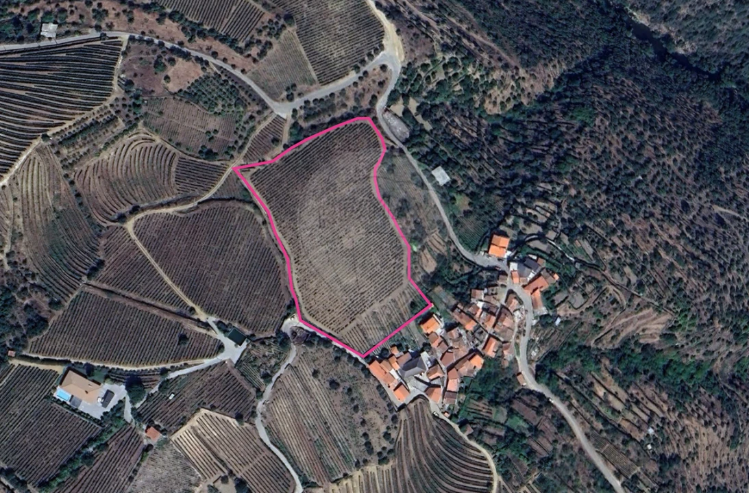 Terreno para Venda em Távora e Pereiro Foto 1