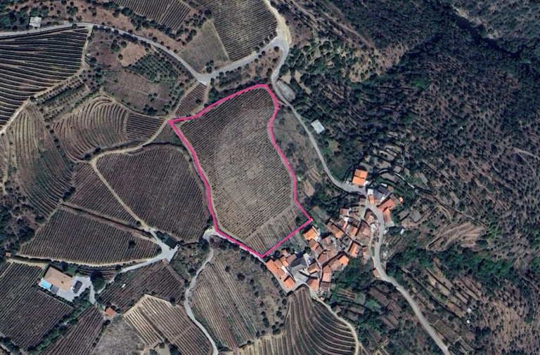 Terreno para Venda em Távora e Pereiro