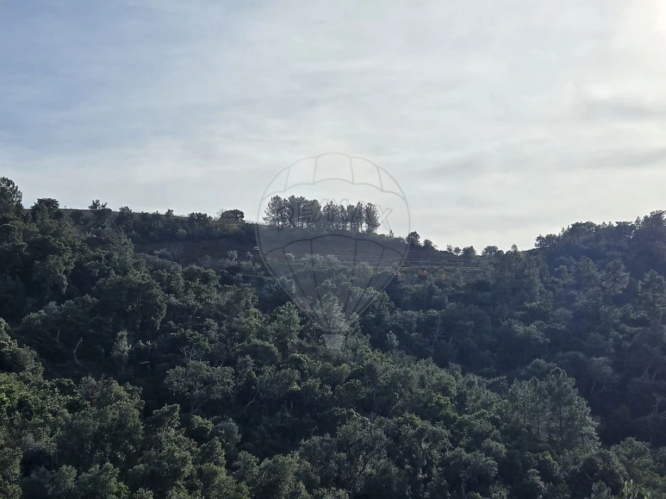 Terreno para Venda em Gouvinhas Foto 20