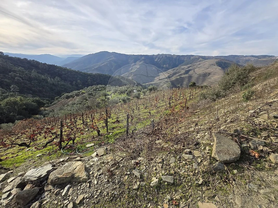 Terreno para Venda em Gouvinhas Foto 10