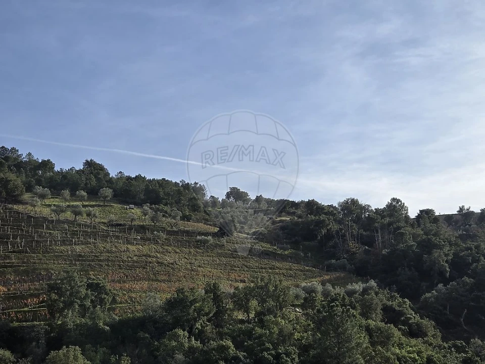 Terreno para Venda em Gouvinhas Foto 21