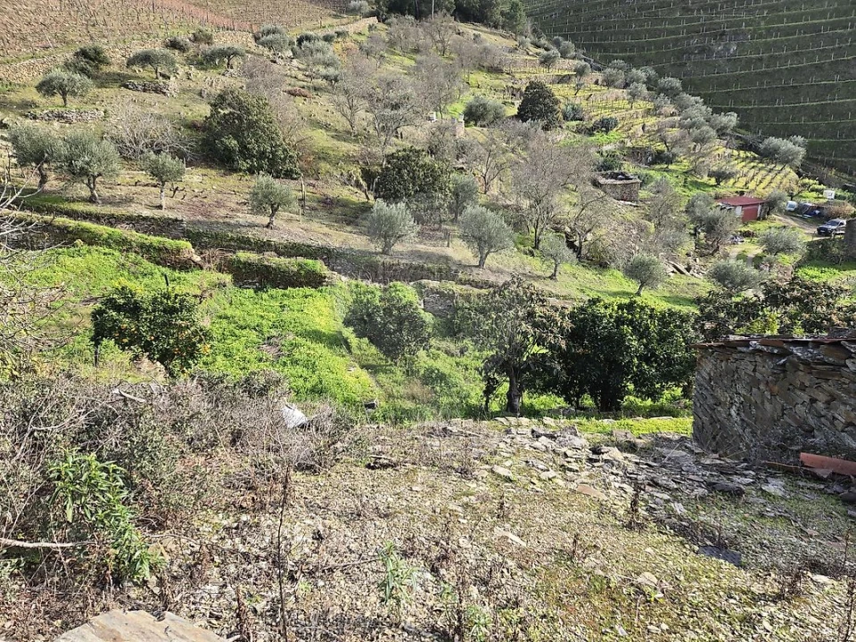 Terreno para Venda em Gouvinhas Foto 9