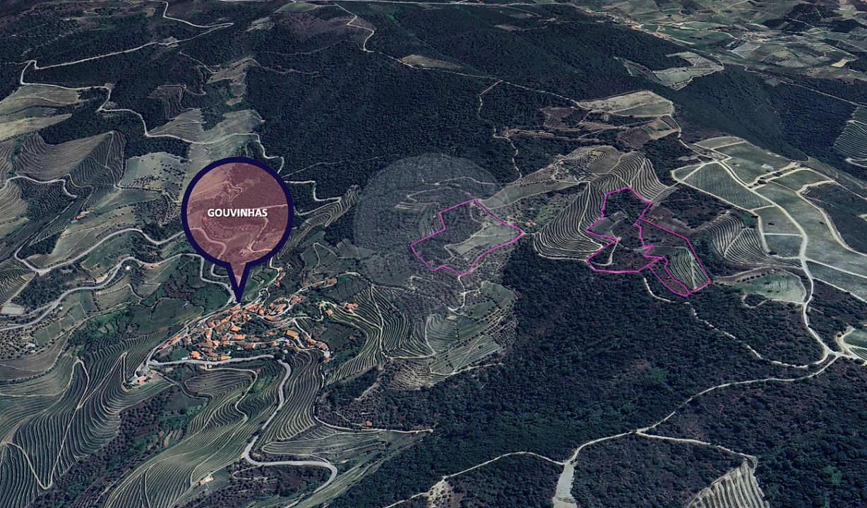 Terreno para Venda em Gouvinhas Foto 2