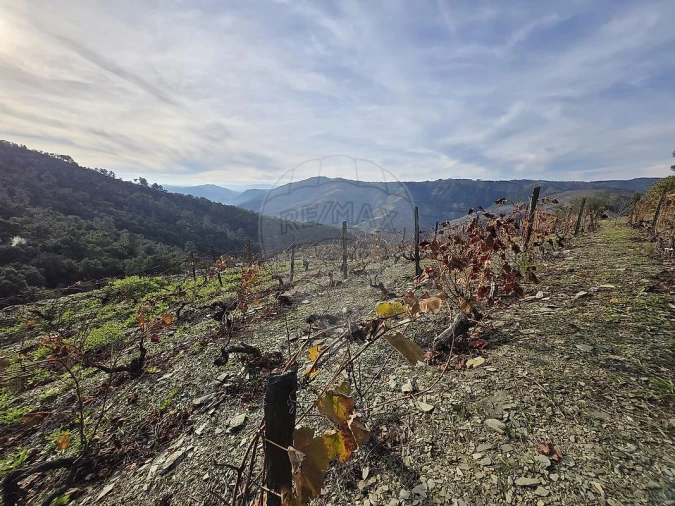 Terreno para Venda em Gouvinhas Foto 1