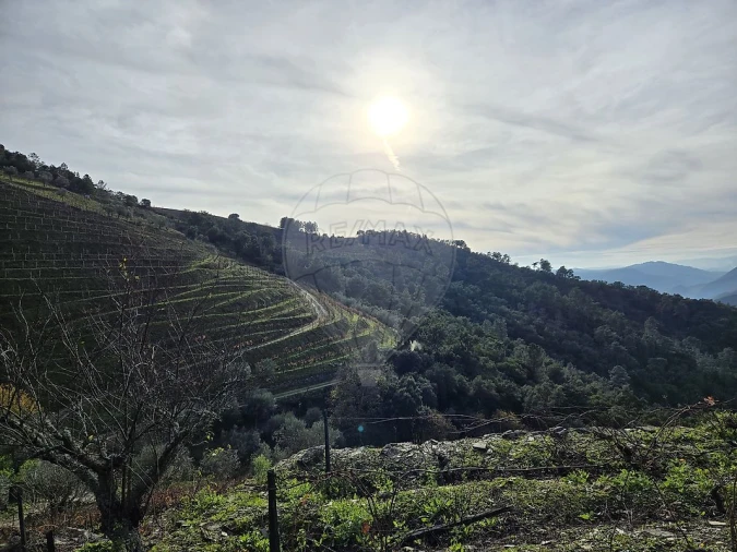 Terreno para Venda em Gouvinhas Foto 7