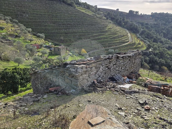 Terreno para Venda em Gouvinhas Foto 8