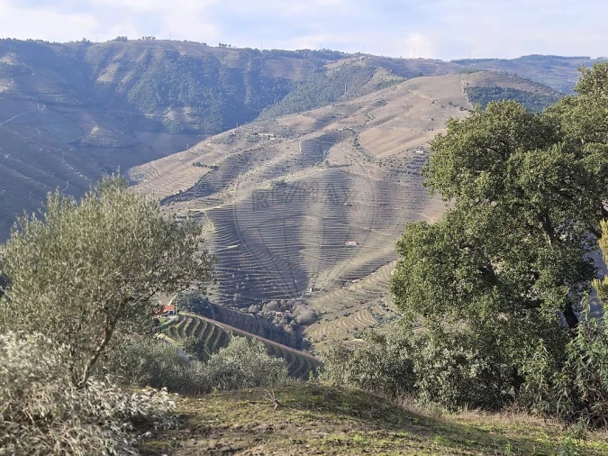 Terreno para Venda em Gouvinhas Foto 15