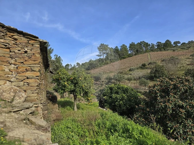 Terreno para Venda em Gouvinhas Foto 5