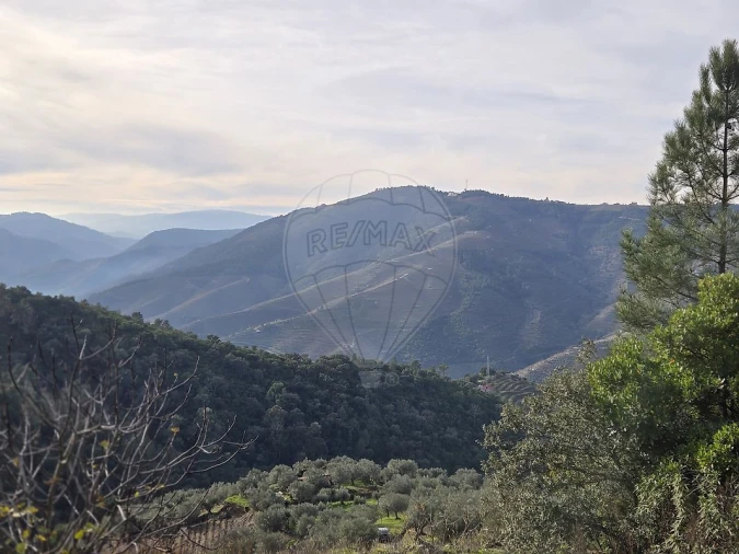 Terreno para Venda em Gouvinhas Foto 6