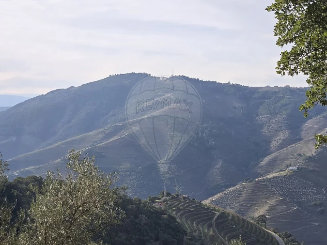 Terreno para Venda em Gouvinhas Foto 14