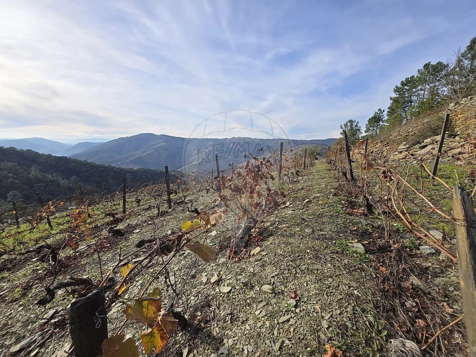 Terreno para Venda em Gouvinhas Foto 4
