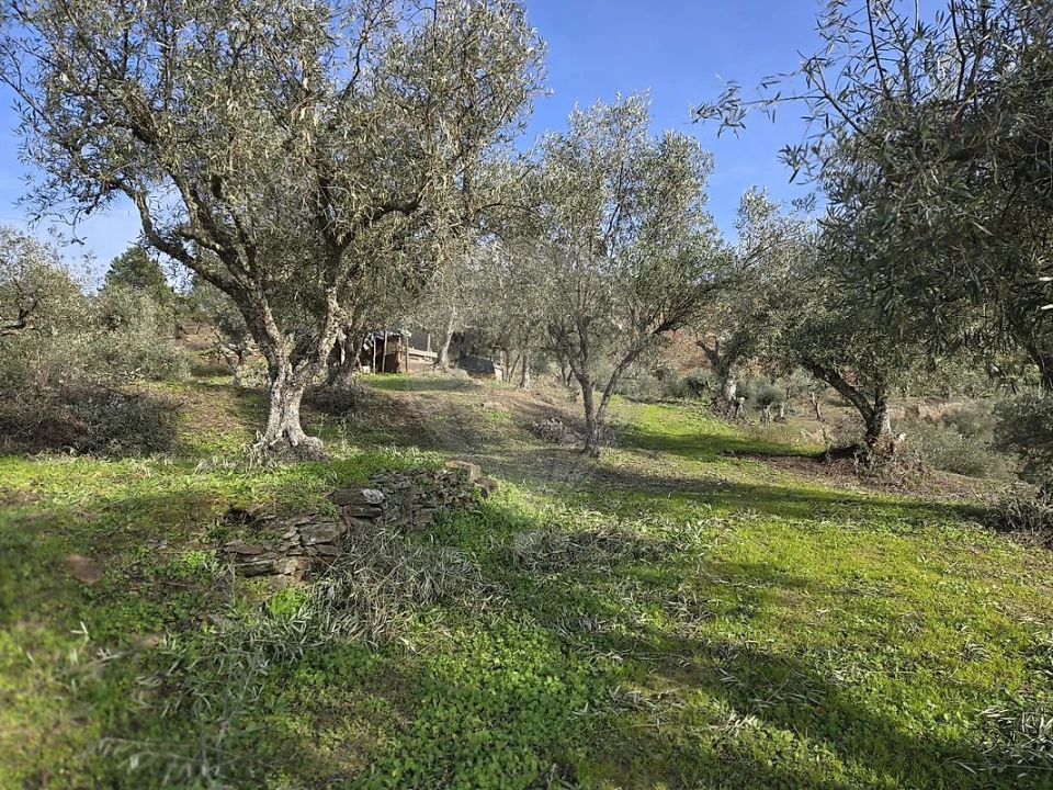 Terreno para Venda em Gouvinhas Foto 22