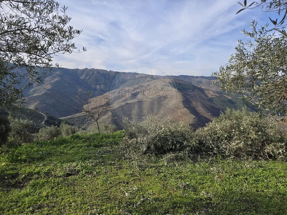 Terreno para Venda em Gouvinhas Foto 17
