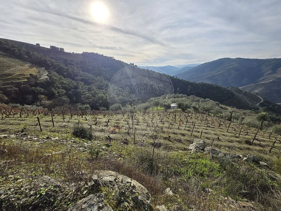 Terreno para Venda em Gouvinhas Foto 12
