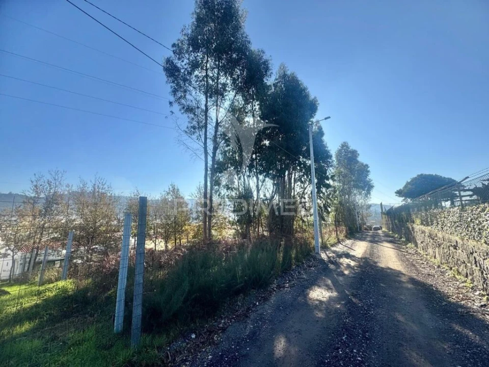 Terreno para Venda em Prazins (Santa Eufemia) Foto 18