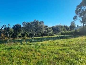 Terreno para Venda em São Pedro de Tomar