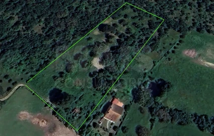 Terreno para Venda em São Pedro de Tomar