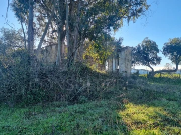 Terreno para Venda em São Pedro de Tomar