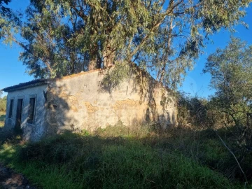 Terreno para Venda em São Pedro de Tomar