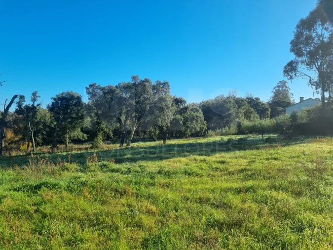 Terreno para Venda em São Pedro de Tomar Foto 8