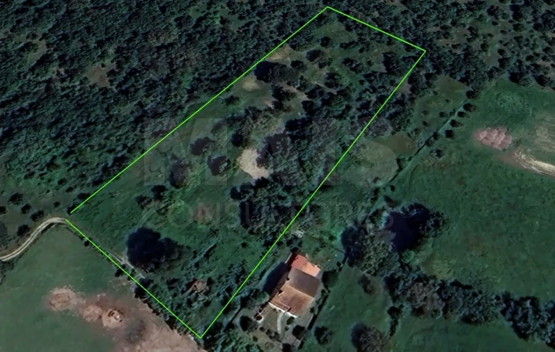 Terreno para Venda em São Pedro de Tomar Foto 10