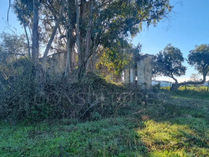 Terreno para Venda em São Pedro de Tomar Foto 5