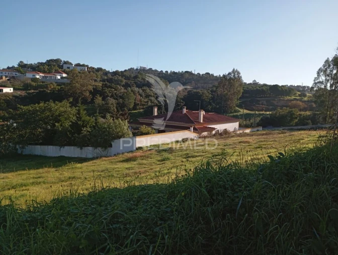 Terreno para Venda em Chamusca e Pinheiro Grande Foto 8