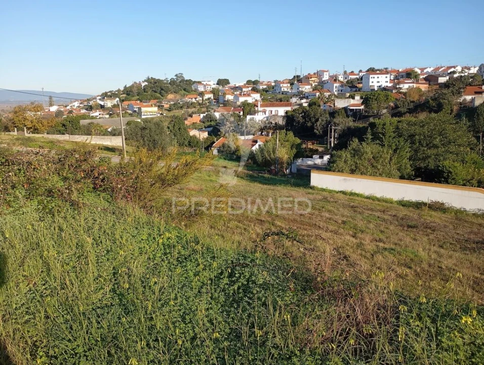 Terreno para Venda em Chamusca e Pinheiro Grande Foto 4